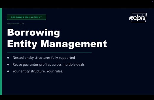 Borrowing Entity Management