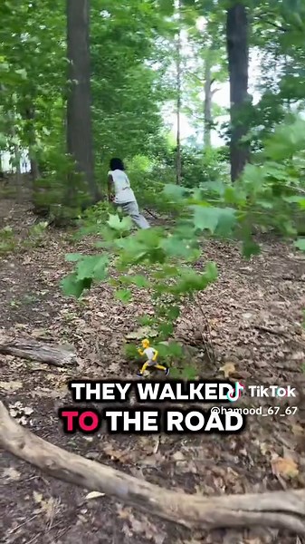 99 Nights in a Forest: Roblox Adventure Awaits!