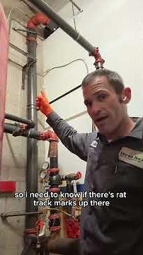 Effective Rat Tracking in Commercial Settings | Versa-Tech Pest Management® | SoCal Exterminators