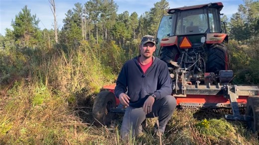 We are preparing this early successional plant community for disking. Why disk instead of burn? Fire tends to perpetuate perennial plants, and on this site, we want more annuals. Not only for their deer forage value, but also for the bare ground and structure for quail and turkeys that comes with the flush of annuals following soil disturbance. | MSU Deer Lab