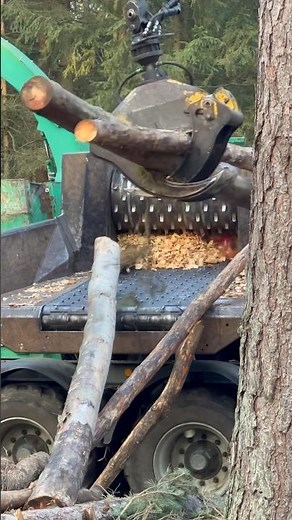 Hackschnitzel Hacken mit Jenz Hacker #brennholz #wood #fordt #jenz #hacker
