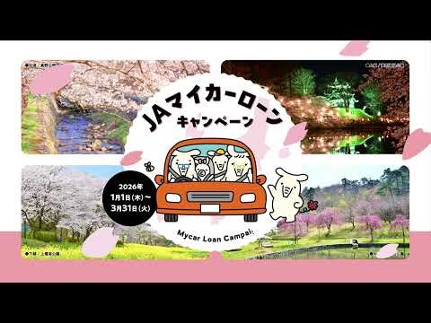 JAバンク新潟 2026 マイカーローンキャンペーン