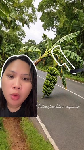 1.1M views · 26K reactions | Help me get this banana by tapping your screen, comment done if you get it. #reelschallenge #fblifestyle #engagementtime #reelsviralシfb | Jeweldine Cayacap | Facebook