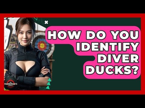 How Do You Identify Diver Ducks? - The Marksman's Journal