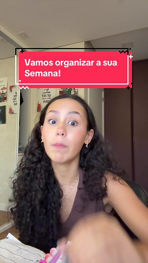 Vamos organizar a sua Semana! #foryou #foryoupage #fyp #organização #rotina
