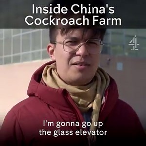 One. Billion. Cockroaches. | Channel 4