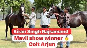 8.2K views · 384 reactions | Mavli mela Show Winner Colt ARJUN Grand son of jaidev Owner Kiran singh Rajsamand6350-683731 | Mohit Paliwal | Facebook