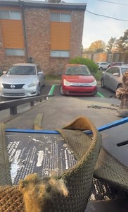 Tow truck driver ran over doing his job…. The guy getting repo’ed is definitely at fault and going to go to jail. But as the repo man, why? Why the f would you get under the car when you saw the “owner” run and get into the vehicle and then hear him start it????? You’re dumb, not as dumb as the owner, but dumb for sure! | Brandon Wilkinson