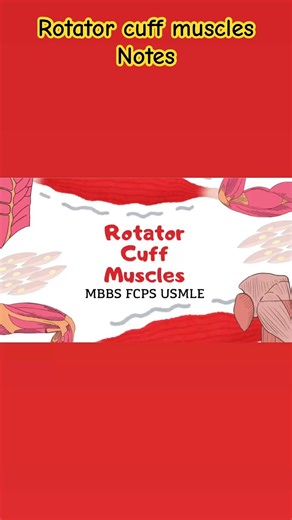 Rotator Cuff Muscles Notes HIGH YIELD | SITS | MBBS • FCPS • USMLE| Explanation link in comments