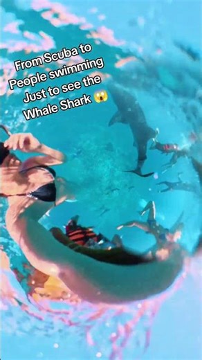 Perfect View 😱 #bucketlist #traveltips #shorts #beachvibes #seawaves
