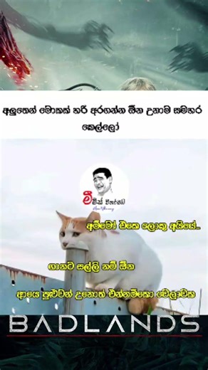 #dj #remix #automobile #dance #djremix #bus_dj_2022 #bus_nonstop #srilanka_bus