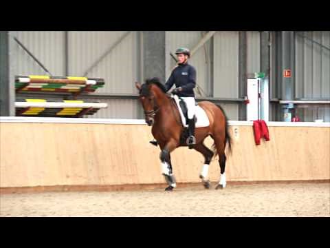 Dressage rider and trainer Matt Hicks helps you understand how to ride travers