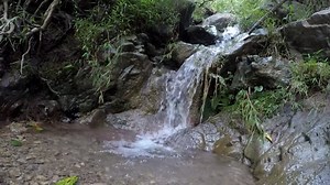 Waterfall, Relax, Soothing. Free Stock Video