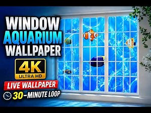 4K Aquarium Window Screensaver | Live Fish Wallpaper | Calm Ocean Ambience | 30-Minute Loop