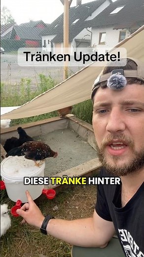 How's the new waterer doing?? #chickens #chickenkeeping #waterer #chicks #drinking