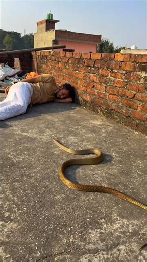 Bhandha Ka Badla Pad Gya Bhari 😭|| #minivlog #shortvlogs #dailyvlog