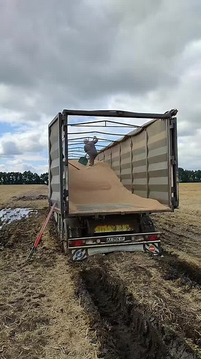 Efficient Grain Loading Techniques for Farmers