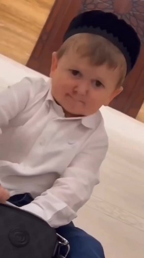 Hasbulla Magomedoc Business Highlights