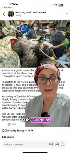 ENT doctors help gorrilla. #animalsurgery #bronch #ENTdoctor