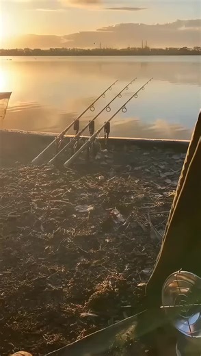 ❄️🐟❄️#fishing #nature #fish #winter #carp