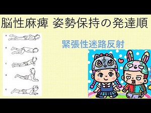 脳性麻痺 姿勢発達 緊張性迷路反射
