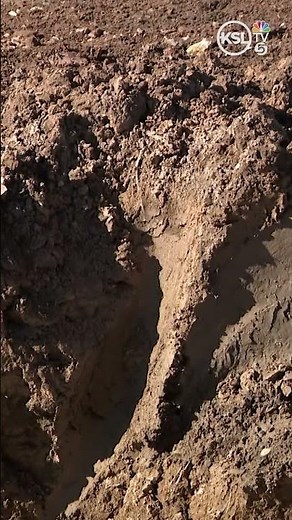 Worker saved by co-worker after being buried alive in a trench collapse