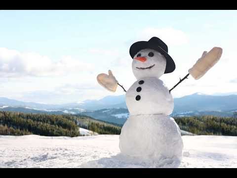 Wintertime Blues by Luc Fortier and Al Morier