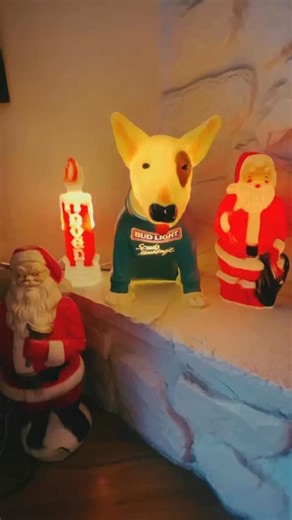 PNW/Portland Wrestling on Instagram: "Dec. 21, 1979 • 46 YEARS AGO TODAY! Roddy Piper does his infamous promo on “Playboy” Buddy Rose for Portland Wrestling which is concluded with Piper shattering a beer bottle over his forehead. Piper and Rose would face each other in a no DQ cage match on Christmas Day in Seattle and run Portland the following day under the same stipulations. This footage comes from the Buddy Rose collection, originally recorded on the Quasar VR1000 format as seen in this vid