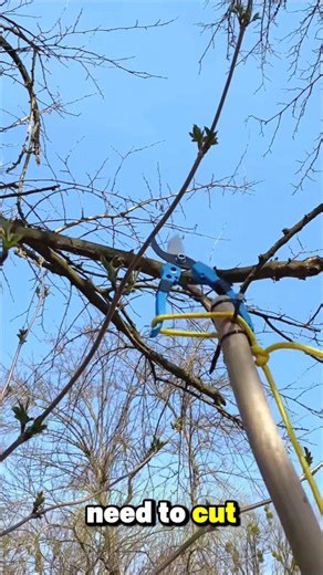 Cut High Tree Branches WITHOUT a Ladder! Genius DIY Tool 🌳✂️ #hack #lifehack