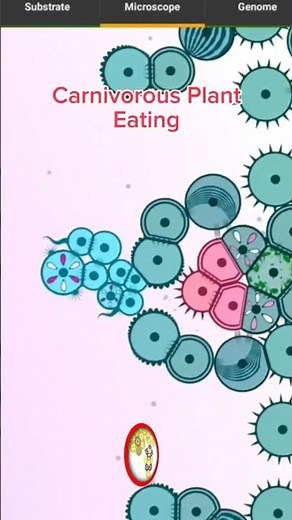 Lethal Flowers - Cell Lab