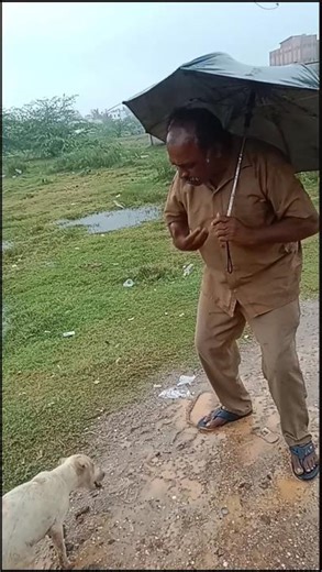 Un Murugan Saroja auto YouTube channel live Cuddaloretitled