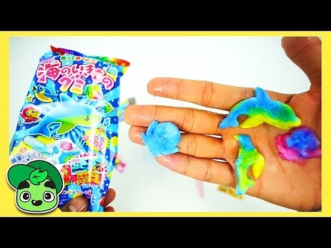 GUAVA JUICE JR Japanese Tiny Candy Making Kit Dolphin Shapes Colors