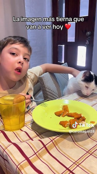 La imagen más tierna de gatos que verás hoy