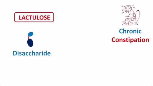 Lactulose: Benefits and Mechanism of Action Explained