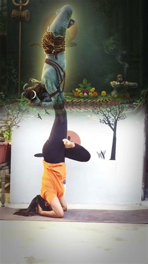 Lotus Headstand Yoga Challenge 🧘 #yogaskills #yogaasana #challenge #tutorial #yogapose #dailyyoga