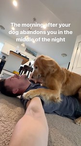 Ok I guess I accept this Nala smush as an apology #dog #goldenretriever | adventuringwithnala