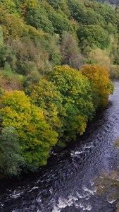The Welsh Government taking action to reduce the impact of flooding, in the face of the climate emergency. Over 24,000 properties across Wales have benefitted from £300m of investment in flood projects so far—strengthening our resilience against flooding for future generations. | Welsh Government