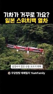 일본 최초의 산악철도! 하코네 토잔철도 스위치백 트레인! #일본#가족여행#도쿄#하코네#스위치백트레인