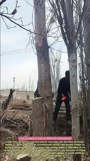 Clever use of wedges when cutting down trees #practical #skills #clever