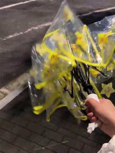 Good friend send me an umbrella with little star patterns