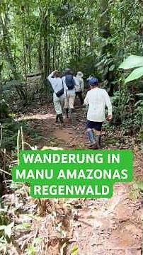 WANDERUNG IN MANU AMAZONAS REGENWALD IN PERU