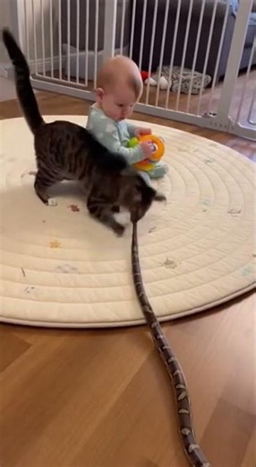 Play area CCTV overhead light only baby distracted with toy