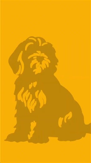 Thomas McCoubrey - Dog Trainer on Instagram: "Make this one change this week with your reactive cockapoo…"