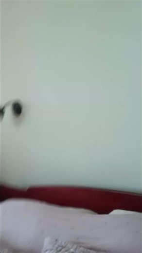 corrupte nature. 2.0