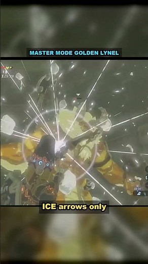 Golden Lynel vs ICE Arrows Only — Beaten Untouched! Zelda BOTW Master Mode