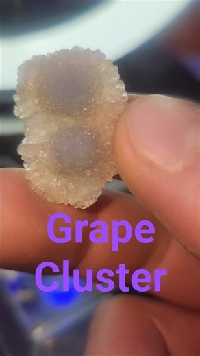Grape Cluster , quartz crystal