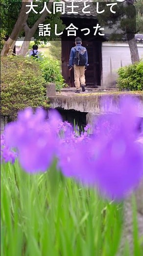 『京都人の密かな愉しみ』の撮影地、年に一度の御開帳法要にお参りしてきた！#真如寺