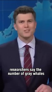 1M views · 10K reactions | Weekend Update Colin Jost and Michael Che Ep 44 Funny SNL Compilation | Michael Che TalkShow | Facebook