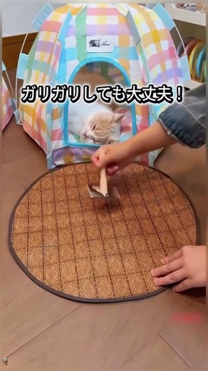 半閉鎖設計で安心感 MAX、ふわふわ内側で暖かく居心地良い～ #テント猫ベッド #猫グッズ #ペット癒し用品 購入方法はホームページのプロフィールにありよ。