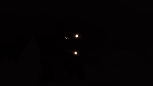 Exploring the Beauty of Life Through Poetry